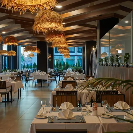 Secrets Sunny And (adults Only) Hotel