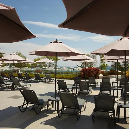 Secrets Sunny And (adults Only) Hotel